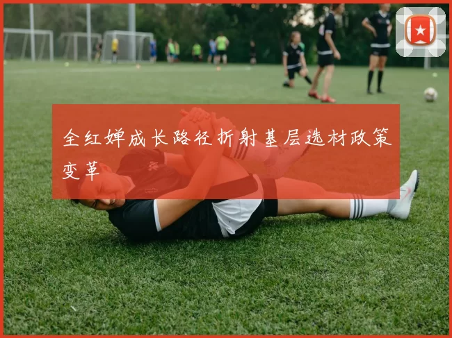 全红婵成长路径折射基层选材政策变革