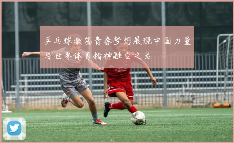 乒乓球激荡青春梦想展现中国力量与世界体育精神融合之光