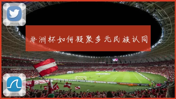 非洲杯如何凝聚多元民族认同