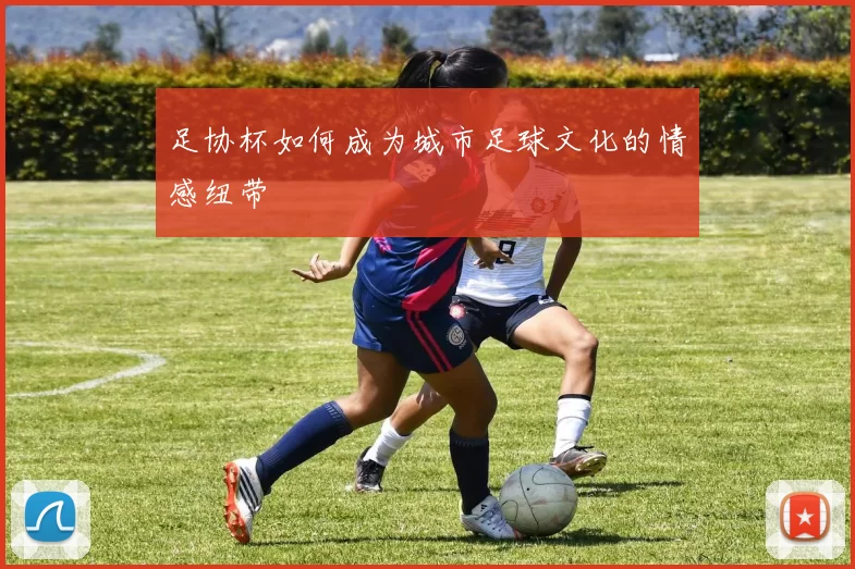 足协杯如何成为城市足球文化的情感纽带