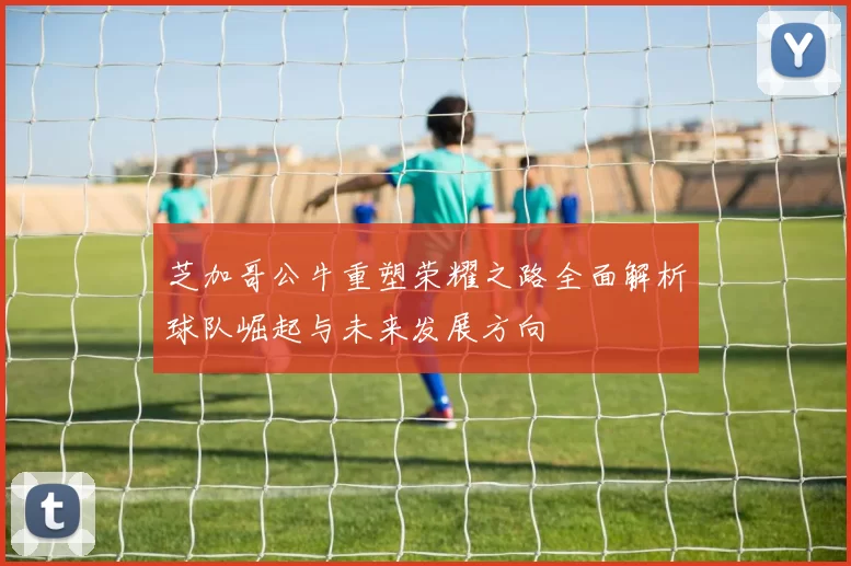 芝加哥公牛重塑荣耀之路全面解析球队崛起与未来发展方向