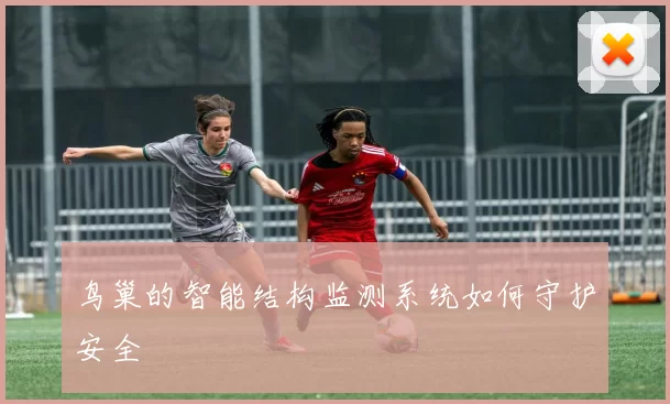 鸟巢的智能结构监测系统如何守护安全