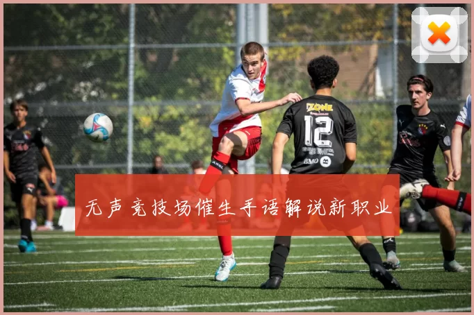 无声竞技场催生手语解说新职业