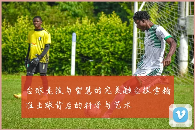 台球竞技与智慧的完美融合探索精准击球背后的科学与艺术