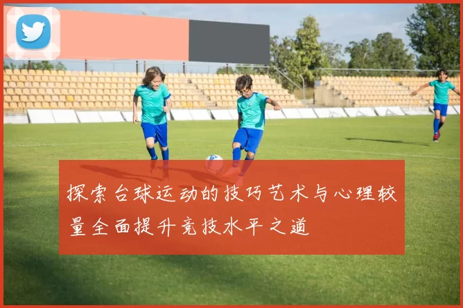 探索台球运动的技巧艺术与心理较量全面提升竞技水平之道