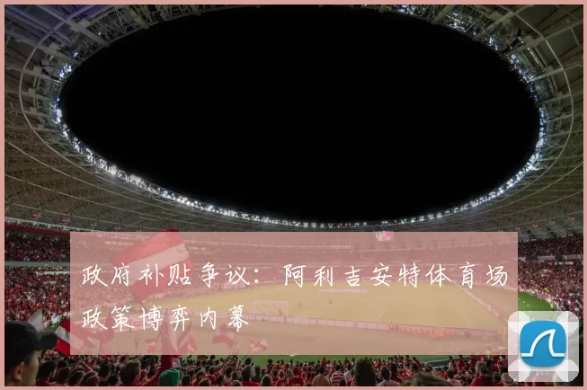 政府补贴争议：阿利吉安特体育场政策博弈内幕