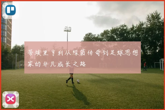 蒂埃里亨利从绿茵传奇到足球思想家的非凡成长之路