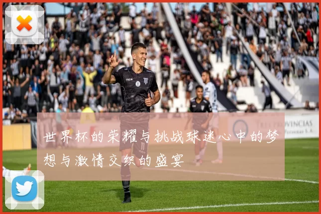 世界杯的荣耀与挑战球迷心中的梦想与激情交织的盛宴